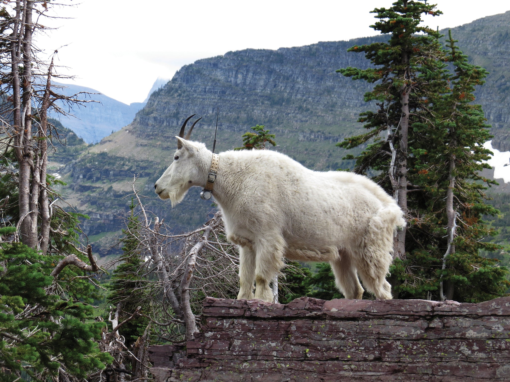 Five Cool Weather National Parks to Visit This Summer