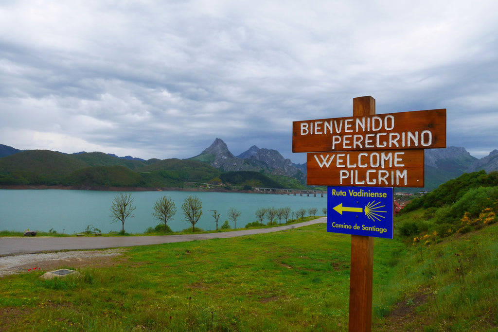 The Camino de Santiago: Europe's Longest Pilgrimage Route