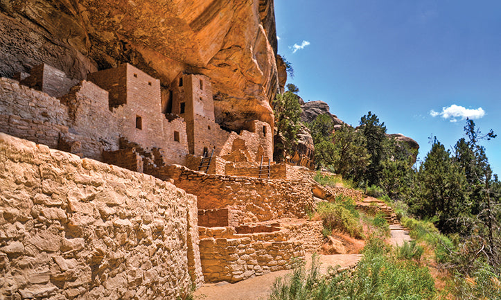 Anderson Design Group Interviews Mesa Verde Foundation!