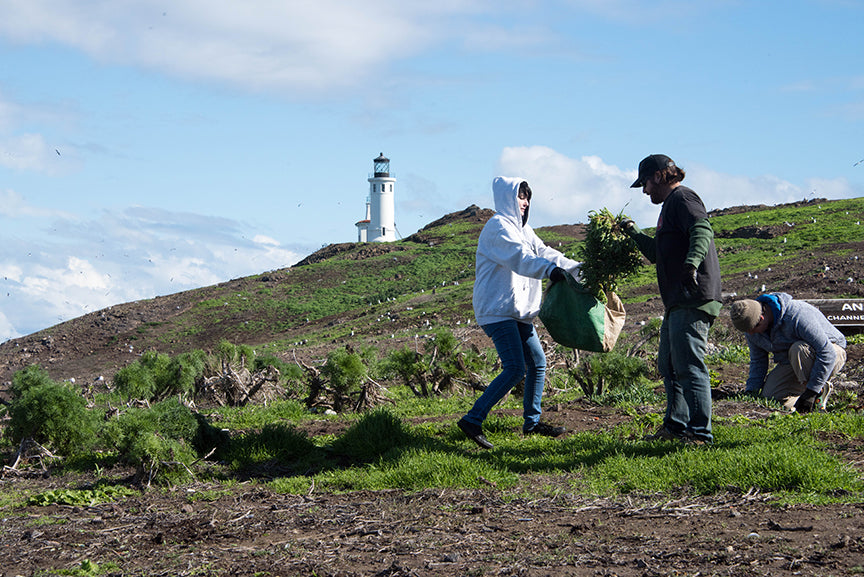 Anderson Design Group Interviews Channel Islands Restoration!