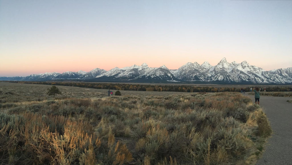 Jackson Hole, Grand Tetons, & Yellowstone